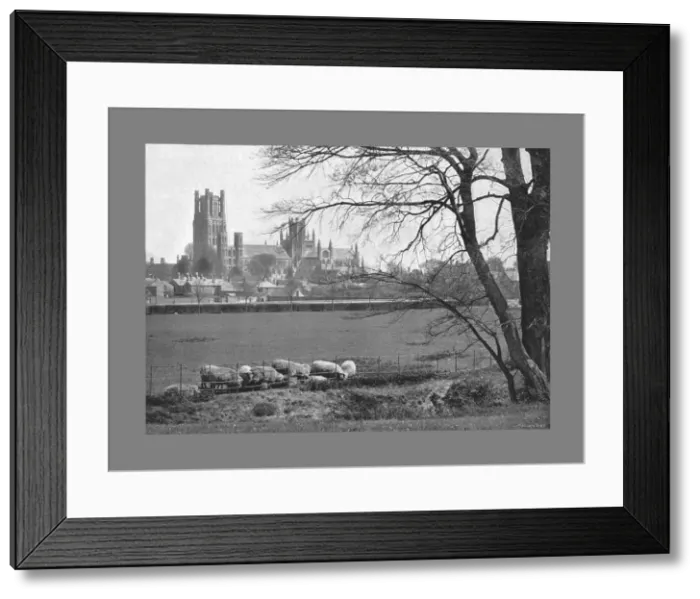 Framed Print : Ely Cathedral, c1900. Artist: GW Wilson and Company Framed Print : Ely Cathedral, c1900. Artist: GW Wilson and Company