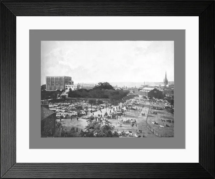 Framed Print : Norwich: Castle, Cattle Market, and Cathedral, c1900. Artist: William Lewis Shrubsole Framed Print : Norwich: Castle, Cattle Market, and Cathedral, c1900. Artist: William Lewis Shrubsole