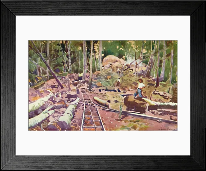 Framed Print : Penetrating the Amazonian Forest - Madeira-Mamore Railway, 1914 Framed Print : Penetrating the Amazonian Forest - Madeira-Mamore Railway, 1914