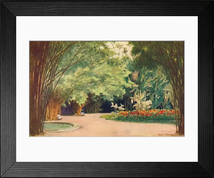 Framed Print : A Bamboo Grove - Botanical Gardens, 1914. Artist: Edgar L Pattison Framed Print : A Bamboo Grove - Botanical Gardens, 1914. Artist: Edgar L Pattison