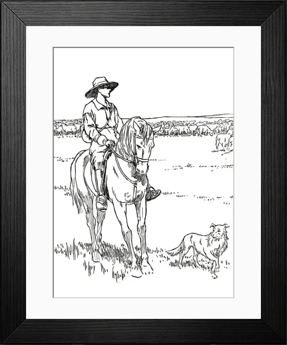 Framed Print : A Sheep-Station in Australia, 1912. Artist: Charles Robinson Framed Print : A Sheep-Station in Australia, 1912. Artist: Charles Robinson