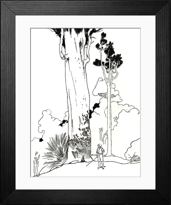 Framed Print : A Kauri Tree, 1912. Artist: Charles Robinson Framed Print : A Kauri Tree, 1912. Artist: Charles Robinson