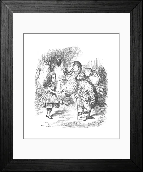 Framed Print : Alice and the Dodo, 1889. Artist: John Tenniel Framed Print : Alice and the Dodo, 1889. Artist: John Tenniel
