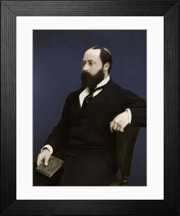 Framed Print : Edward VII (then Prince of Wales), 1876 Framed Print : Edward VII (then Prince of Wales), 1876