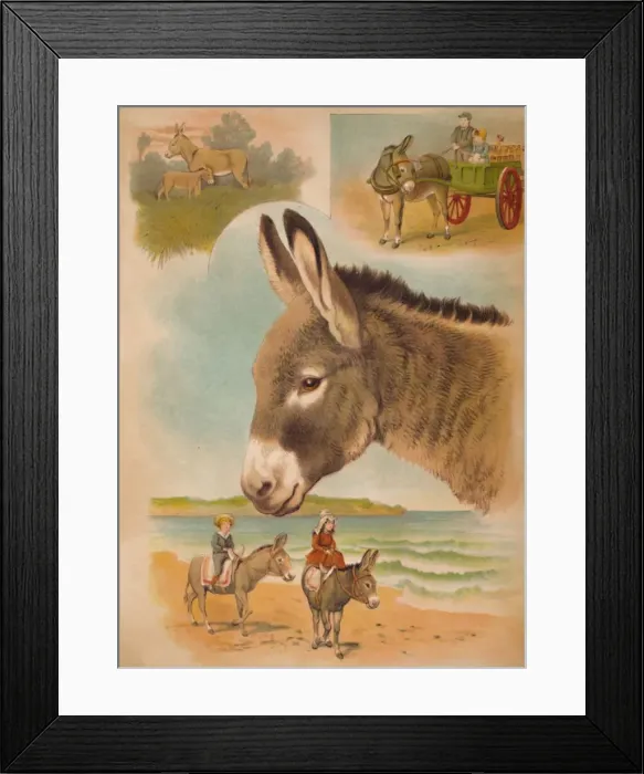 Framed Print : The Donkey, c1900. Artist: Helena J. Maguire Framed Print : The Donkey, c1900. Artist: Helena J. Maguire