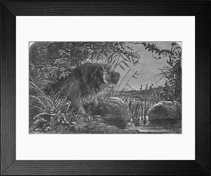 Framed Print : Waiting for the Antelopes, c1900. Artist: Helena J. Maguire Framed Print : Waiting for the Antelopes, c1900. Artist: Helena J. Maguire