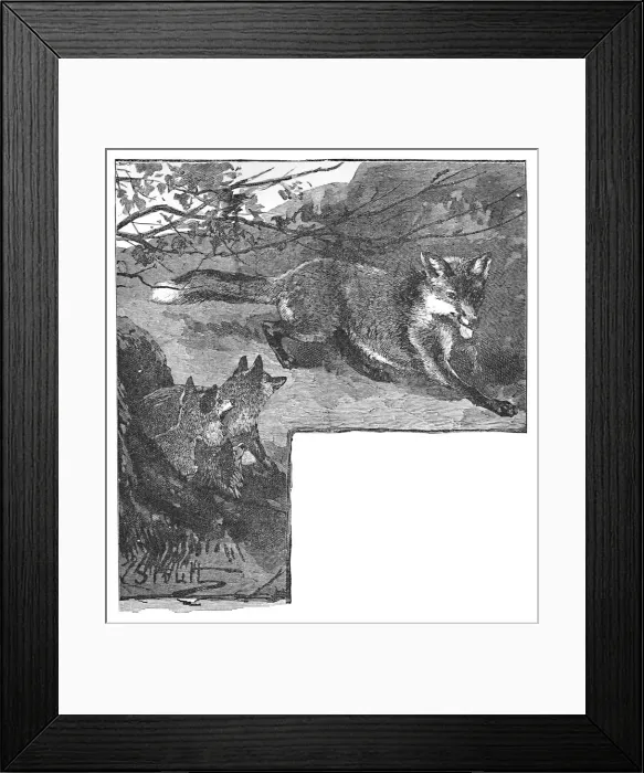 Framed Print : The Fox and her Cubs, c1900. Artist: Helena J. Maguire Framed Print : The Fox and her Cubs, c1900. Artist: Helena J. Maguire