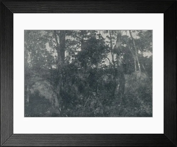 Framed Print : Cabanas de Indios, 1895. Artist: Francisco Henszler Framed Print : Cabanas de Indios, 1895. Artist: Francisco Henszler