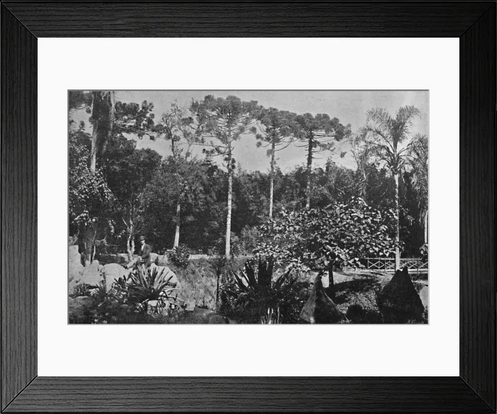 Framed Print : Jardim Publico, 1895. Artists: Wilhelm Gaensly, Rudolf Friedrich Fra Framed Print : Jardim Publico, 1895. Artists: Wilhelm Gaensly, Rudolf Friedrich Fra