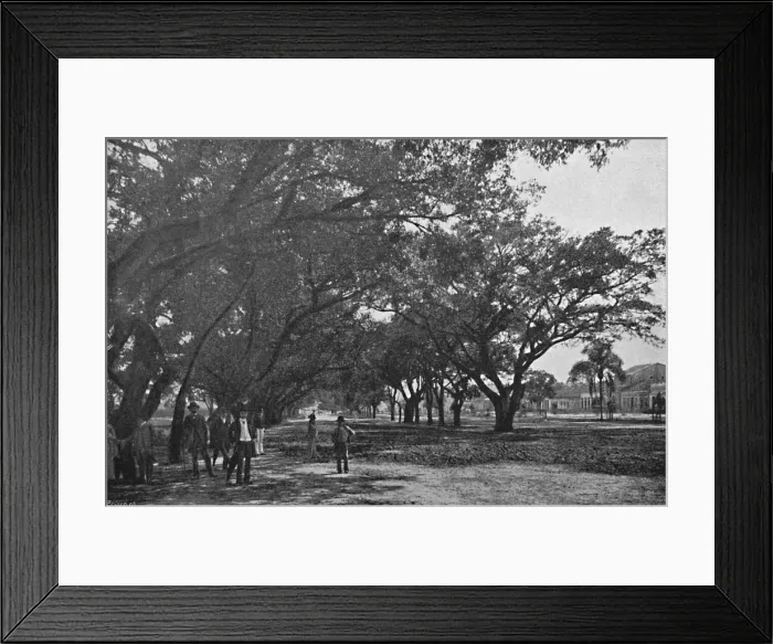 Framed Print : Avenida de Tiradentes, 1895. Artist: Paulo Kowalsky Framed Print : Avenida de Tiradentes, 1895. Artist: Paulo Kowalsky