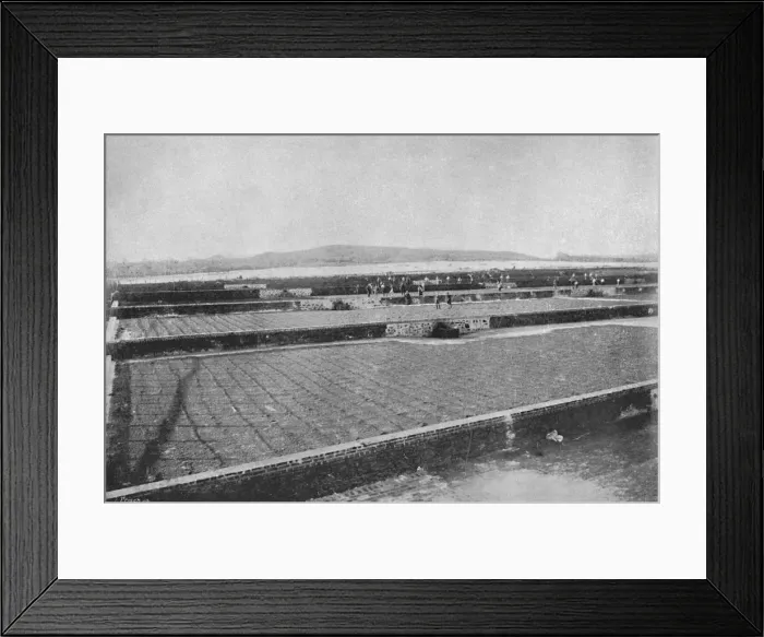 Framed Print : Terreiro para seccar o Cafe, (Drying Coffee), 1895. Artist: Axel Frick Framed Print : Terreiro para seccar o Cafe, (Drying Coffee), 1895. Artist: Axel Frick