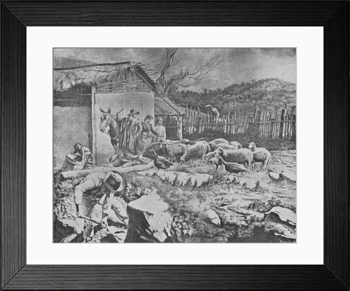 Framed Print : Sitio, 1895. Artist: Wille Reichardt Framed Print : Sitio, 1895. Artist: Wille Reichardt