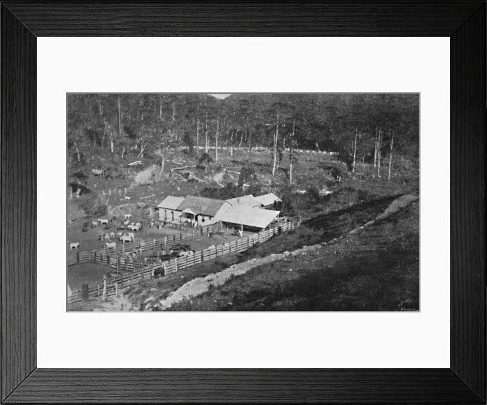 Framed Print : Fazenda de Criacao (Campos do Jordao), (Criacao Farm), 1895. Artist: Axel Frick Framed Print : Fazenda de Criacao (Campos do Jordao), (Criacao Farm), 1895. Artist: Axel Frick