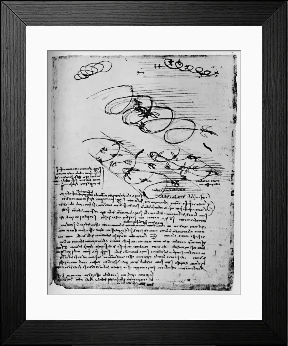 Framed Print : Studies of Birds in Flight When Rising and Circling, 1928. Artist: Leonardo da Vinci Framed Print : Studies of Birds in Flight When Rising and Circling, 1928. Artist: Leonardo da Vinci