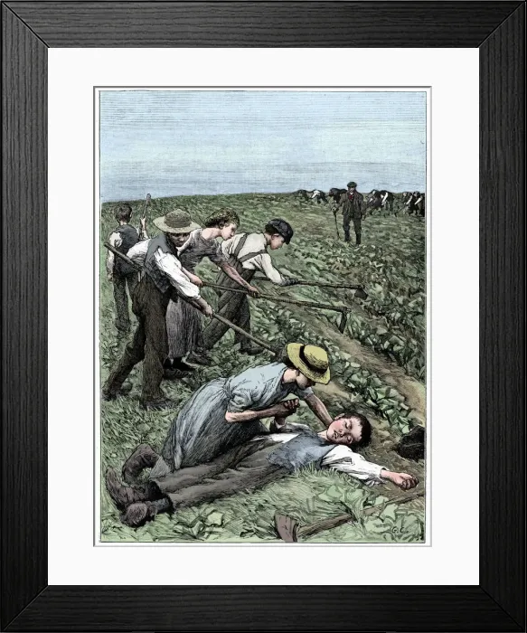 Framed Print : Gang system of child labour, c1885 Framed Print : Gang system of child labour, c1885