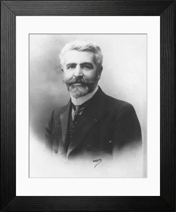 Framed Print : Poirier, c1893. Artist: Walery