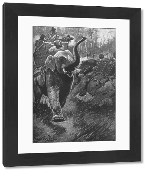 The Frightened Elephants Rushed Back Crashing Through The Forest, 1895, (1902). Artist: Stanley Llewellyn Wood