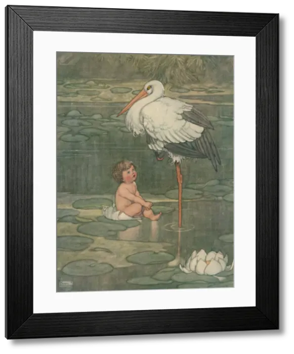 Framed Print : The Bud Opened Into A Full-Blown Flower, c1930. Artist: W Heath Robinson Framed Print : The Bud Opened Into A Full-Blown Flower, c1930. Artist: W Heath Robinson