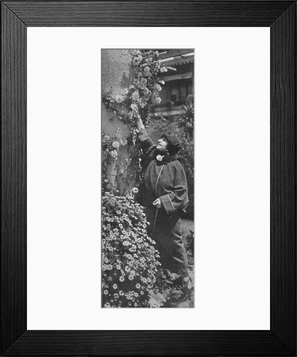 Framed Print : Amelita Galli-Curci - The great diva gathering roses, her favourite flowers, c1925 Framed Print : Amelita Galli-Curci - The great diva gathering roses, her favourite flowers, c1925