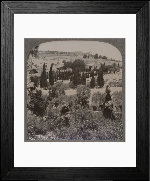 Framed Print : Garden of Gethsemane and Mount of Olives from Greek Gardens, c1900 Framed Print : Garden of Gethsemane and Mount of Olives from Greek Gardens, c1900