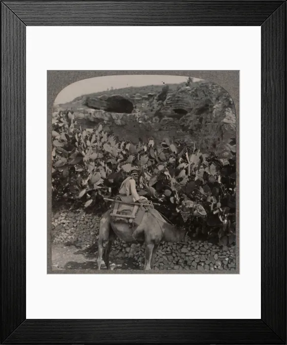 Framed Print : Golgotha (The Place of the Skull), c1900 Framed Print : Golgotha (The Place of the Skull), c1900