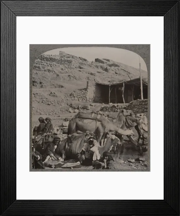 Framed Print : Camel train from Jerash, watering at the Fountain of Elisha, c1900 Framed Print : Camel train from Jerash, watering at the Fountain of Elisha, c1900
