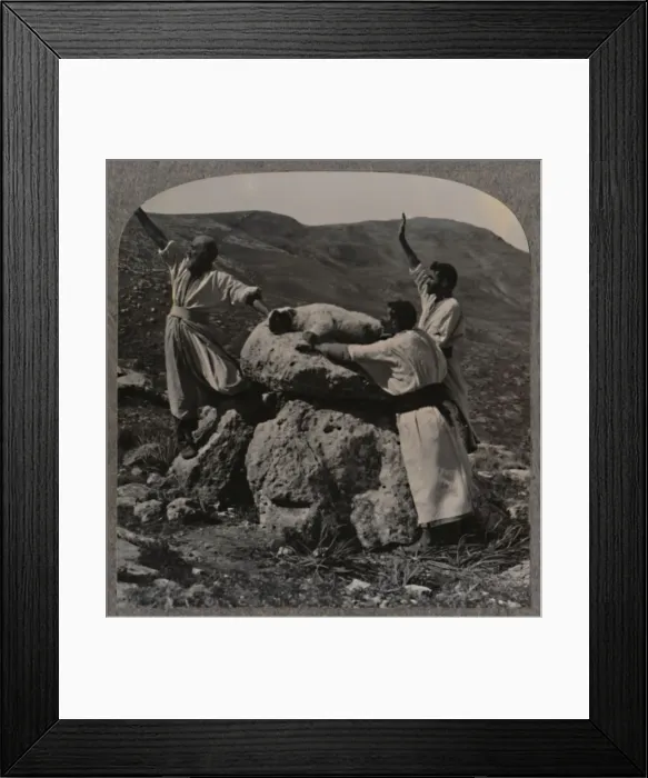 Framed Print : Offering sacrifice of lamb on Altar, Moreh, c1900 Framed Print : Offering sacrifice of lamb on Altar, Moreh, c1900