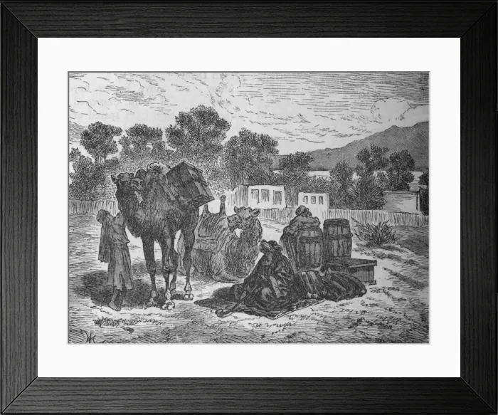 Framed Print : Wells of Moses, Near Suez, c1882 Framed Print : Wells of Moses, Near Suez, c1882