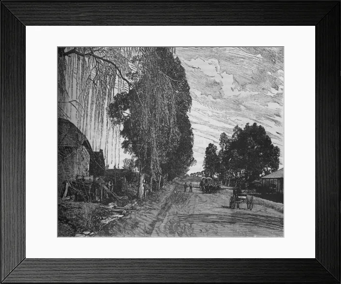 Framed Print : View near Pretoria, c1880 Framed Print : View near Pretoria, c1880
