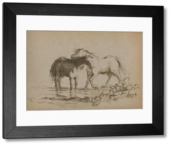 Framed Print : Horses, 1903. Artist: Lady Diana Spencer Framed Print : Horses, 1903. Artist: Lady Diana Spencer