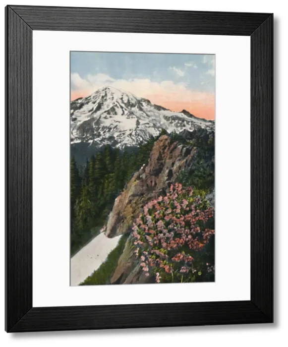 Framed Print : The Primrose on Mount Rainier, c1916. Artist: Asahel Curtis Framed Print : The Primrose on Mount Rainier, c1916. Artist: Asahel Curtis
