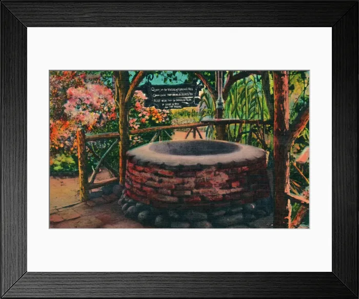 Framed Print : The Wishing Well at Ramonas Marriage Place, Old Town. San Diego, California, c1941 Framed Print : The Wishing Well at Ramonas Marriage Place, Old Town. San Diego, California, c1941