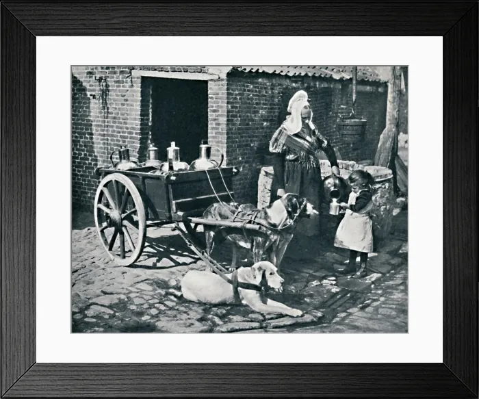 Framed Print : A Belgian peasant woman and her draught dogs, 1912. Artist: Neurdein freres Framed Print : A Belgian peasant woman and her draught dogs, 1912. Artist: Neurdein freres