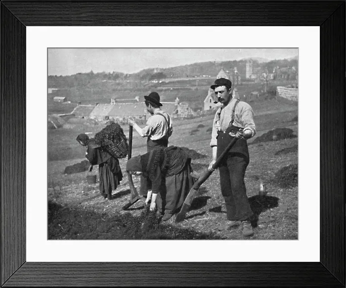 Framed Print : Planting potatoes in Skye, Scotland, 1912. Creator: GW Wilson and Company Framed Print : Planting potatoes in Skye, Scotland, 1912. Creator: GW Wilson and Company