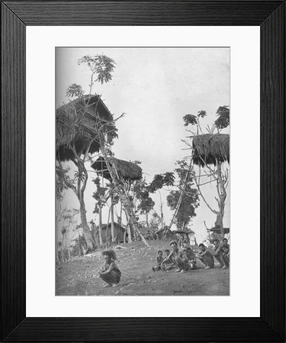 Framed Print : Dobos, tree houses for unmarried women in Melanesia, 1902. Artist: W Lindt Framed Print : Dobos, tree houses for unmarried women in Melanesia, 1902. Artist: W Lindt
