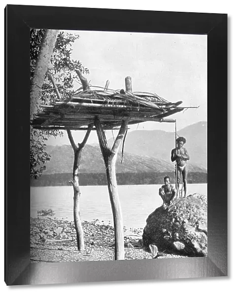 Mortuary platform in New Guinea, 1902. Artist: W Lindt