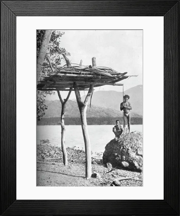Framed Print : Mortuary platform in New Guinea, 1902. Artist: W Lindt Framed Print : Mortuary platform in New Guinea, 1902. Artist: W Lindt