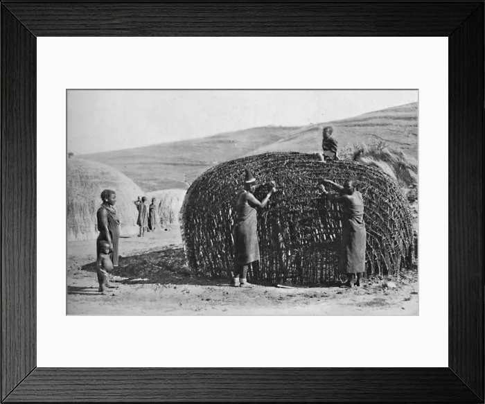 Framed Print : Hut building in Zululand, 1912 Framed Print : Hut building in Zululand, 1912