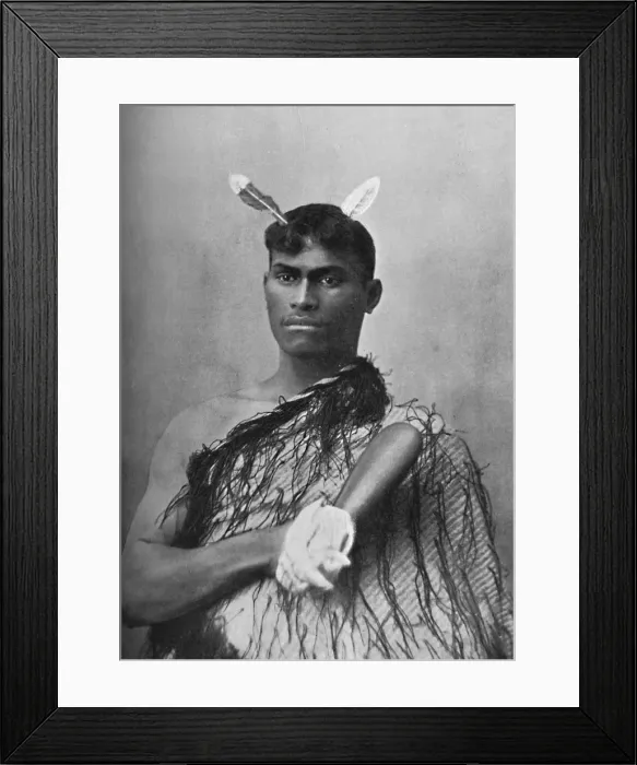Framed Print : A Maori youth carrying the flat greenstone (nephrite) club known as a mere, 1902. Artist: Iles Framed Print : A Maori youth carrying the flat greenstone (nephrite) club known as a mere, 1902. Artist: Iles
