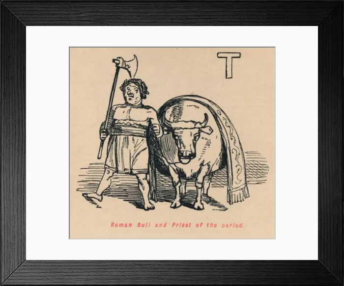 Framed Print : Roman Bull and Priest of the period, 1852. Artist: John Leech Framed Print : Roman Bull and Priest of the period, 1852. Artist: John Leech