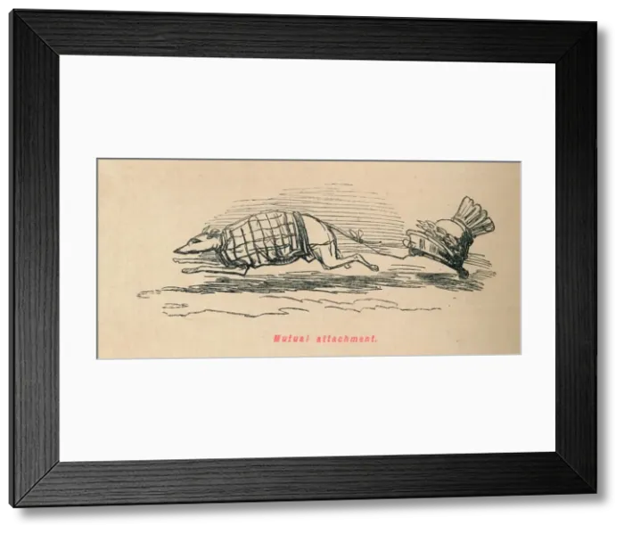 Framed Print : Mutual attachment, 1852. Artist: John Leech Framed Print : Mutual attachment, 1852. Artist: John Leech
