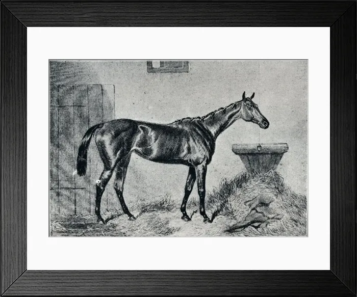 Framed Print : Queen Bertha, 19th century, (1911) Framed Print : Queen Bertha, 19th century, (1911)
