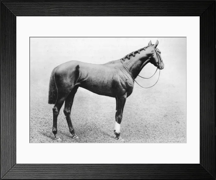 Framed Print : Jeddah, 1895-1909, (1911) Framed Print : Jeddah, 1895-1909, (1911)