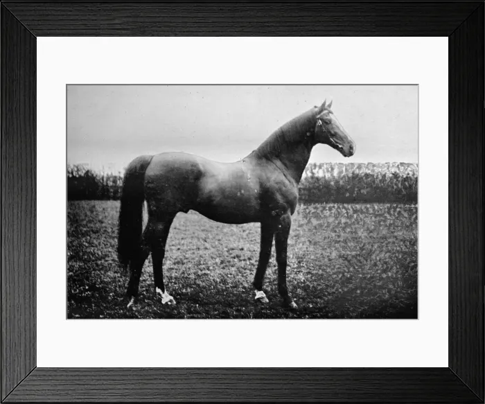 Framed Print : Florizel II, 1911 Framed Print : Florizel II, 1911