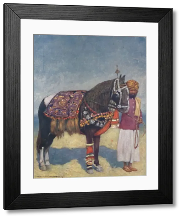 Framed Print : A Horse from Jodhpur, 1903. Artist: Mortimer L Menpes Framed Print : A Horse from Jodhpur, 1903. Artist: Mortimer L Menpes