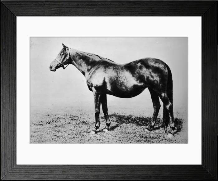 Framed Print : La Fleche, 1889-1911, (1911) Framed Print : La Fleche, 1889-1911, (1911)