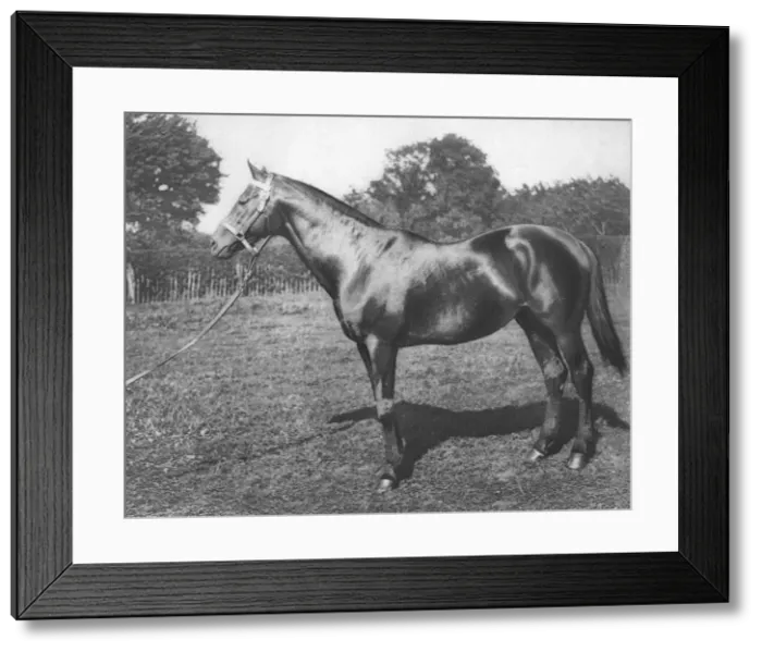 Framed Print : Common, 19th century, (1911) Framed Print : Common, 19th century, (1911)