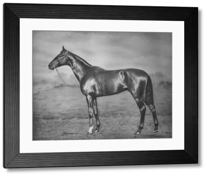 Framed Print : Polymelus, 1902-1924, (1911)