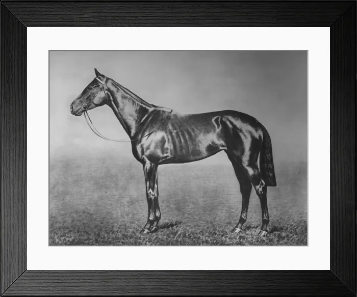 Framed Print : Signorinetta, 1905-1928, (1911) Framed Print : Signorinetta, 1905-1928, (1911)