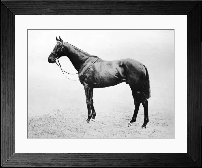 Framed Print : Bayardo, 1911 Framed Print : Bayardo, 1911